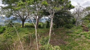 5471 – Cortes Sanctuary Lot 7-15