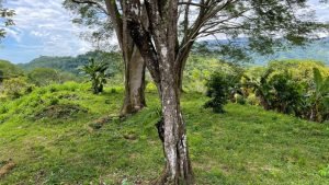 5471 – Cortes Sanctuary Lot 7-23 (2)