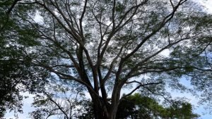 5471 – Cortes Sanctuary Lot 7-24 (2)