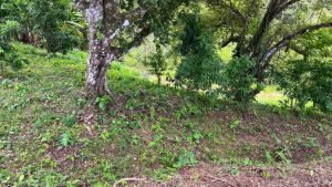 5471 – Cortes Sanctuary Lot 7-24