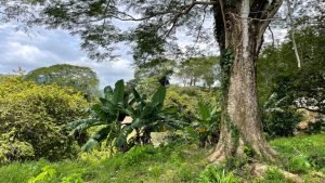 5471 – Cortes Sanctuary Lot 7-28