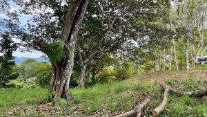 5471 – Cortes Sanctuary Lot 7-34