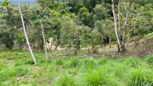 5471 – Cortes Sanctuary Lot 7-35