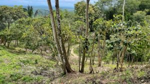 5471 – Cortes Sanctuary Lot 7-36