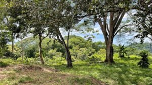 5471 – Cortes Sanctuary Lot 7-37