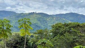 5471 – Cortes Sanctuary Lot 7-9 (2)