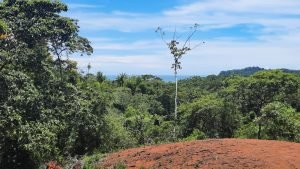 5763 Perezoso Farm 02