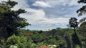 5763 Perezoso Farm 03