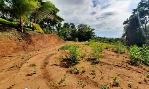 5763 Perezoso Farm 05