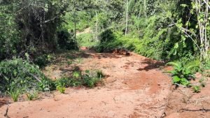 5763 Perezoso Farm 07