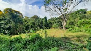 5763 Perezoso Farm 09