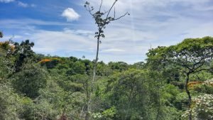 5763 Perezoso Farm 10