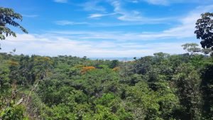 5763 Perezoso Farm 11