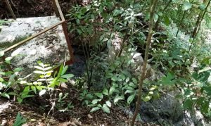 5848 Ocean View Home with Private River Access Chontales 23