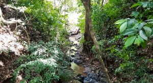 5848 Ocean View Home with Private River Access Chontales 24