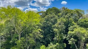 5848 Ocean View Home with Private River Access Chontales 26