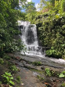 6c778b54-7268-4053-ac84-5b8b6961cf03 (1)