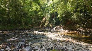 8124 Lote Entrada Ojochal 02