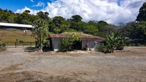 8124 Lote Entrada Ojochal 15