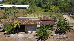 8124 Lote Entrada Ojochal 21