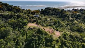 8125 Large Ocean View Lot Perezoso Ojochal 04