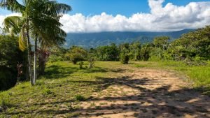 8125 Large Ocean View Lot Perezoso Ojochal 08