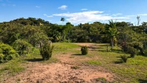 8125 Large Ocean View Lot Perezoso Ojochal 09