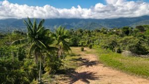 8125 Large Ocean View Lot Perezoso Ojochal 10