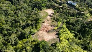 8125 Large Ocean View Lot Perezoso Ojochal 11