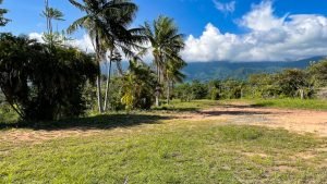 8125 Large Ocean View Lot Perezoso Ojochal 13