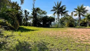 8125 Large Ocean View Lot Perezoso Ojochal 14