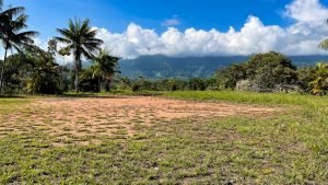 8125 Large Ocean View Lot Perezoso Ojochal 15