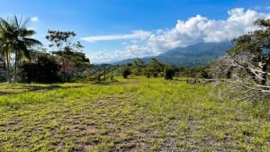 8125 Large Ocean View Lot Perezoso Ojochal 18