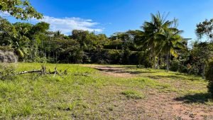 8125 Large Ocean View Lot Perezoso Ojochal 19