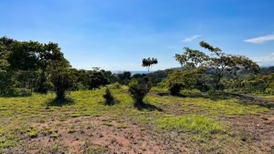 8125 Large Ocean View Lot Perezoso Ojochal 20