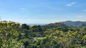 8125 Large Ocean View Lot Perezoso Ojochal 22