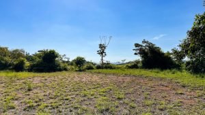 8125 Large Ocean View Lot Perezoso Ojochal 24