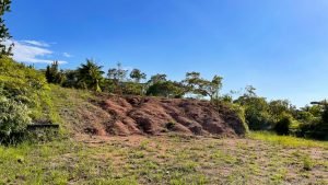 8125 Large Ocean View Lot Perezoso Ojochal 25