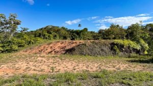 8125 Large Ocean View Lot Perezoso Ojochal 26