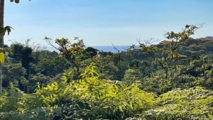 8125 Large Ocean View Lot Perezoso Ojochal 27