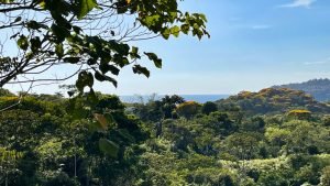 8125 Large Ocean View Lot Perezoso Ojochal 28