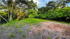 8125 Large Ocean View Lot Perezoso Ojochal 29