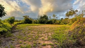 8125 Large Ocean View Lot Perezoso Ojochal 30