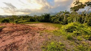 8125 Large Ocean View Lot Perezoso Ojochal 33