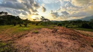 8125 Large Ocean View Lot Perezoso Ojochal 34