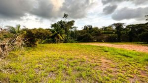 8125 Large Ocean View Lot Perezoso Ojochal 35