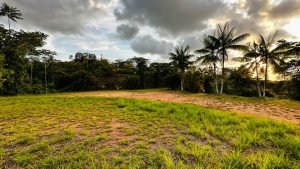 8125 Large Ocean View Lot Perezoso Ojochal 36