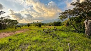 8125 Large Ocean View Lot Perezoso Ojochal 37