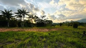 8125 Large Ocean View Lot Perezoso Ojochal 38