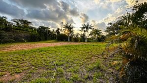 8125 Large Ocean View Lot Perezoso Ojochal 39